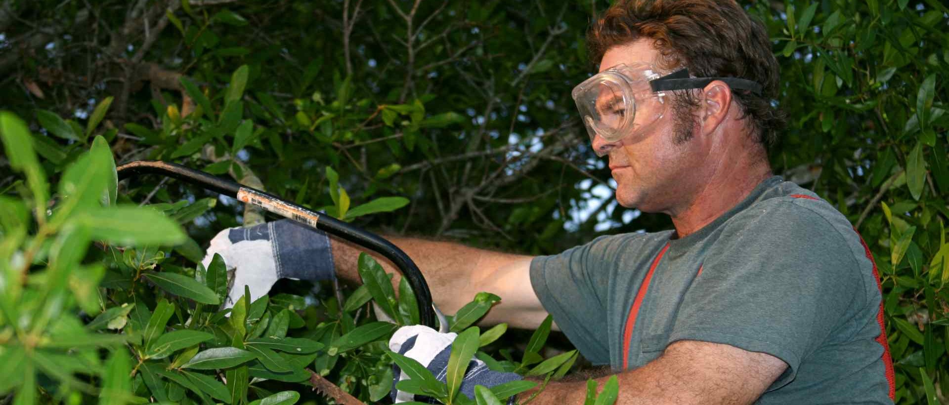 garden clearance IG11